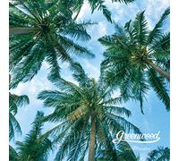Lost In Paradise