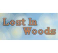 Lost In Woods 2