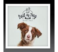 Lost My Dog 10x10 - 2012