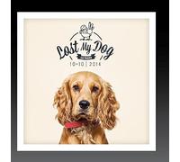Lost My Dog 10x10 - 2014