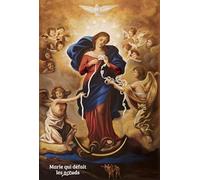 Lot de 10 cartes Marie qui défait les noeuds. Version originale