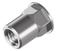Lot de 250 Écrous à riveter avec queue hexagonale à tête plate - acier inox A2 M 4 x 13