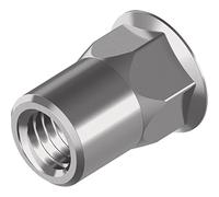 Lot de 250 Écrous à riveter avec queue hexagonale Tête fraisée - en acier inoxydable A2 M 6 X 16
