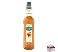 Lot de 3 - Teisseire - Jarabe de Apple - 70CL