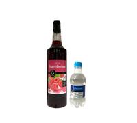 Lot Sirope Gilbert & Limonada:Sirope Gilbert Frambuesa 1L - Limonada Gilbert (12x33cl)