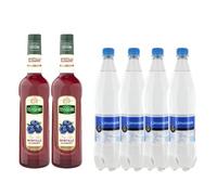 Lot Sirope & Limonada:Sirope Teisseire - Arándanos (2x1L) - Limonada Gilbert (4x1L)