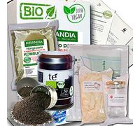 LOTE COMPLETO KOMBUCHA FRESCO, SCOBY KOMBUCHA - Con Registro Sanitario (RGSEAA) - Elabora Tu Propio Té de Kombucha Biológico en Casa