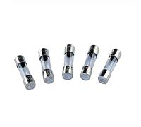 Lote de 10 fusibles temporizados (T), cristal, 1,6 A, 250 V CA, 5 x 20 mm