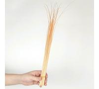 Lote de 10 varillas duras de plumas de avestruz de 45 a 50 cm, accesorios para la cabeza, lomos para manualidades, plumas, etc