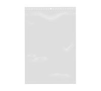 Lote de 100 bolsas con cierre zip, transparentes, plástico apto para alimentos (20 x 30 cm)