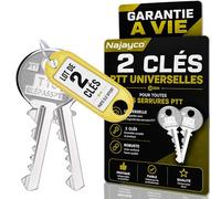 Lote de 2 llaves para pases PTT T10 T especiales para libros y factores | para cerraduras de cajas de cartas y puertas de bienes | Garantía de por vida. ! !