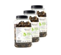 Lote de 3 unidades de selección forestal - Maceta de 500 g