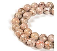 Lote de 36 perlas de fósil de cauris florido natural de 10 mm para la fabricación de joyas, 39,4 cm, 1 hilo (fósil de cauris florido, 10 mm, 36 perlas)