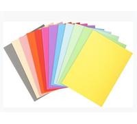 Exacompta 410000E - Lote de 100 Subcarpetas Forever® 10, Colores Surtidos