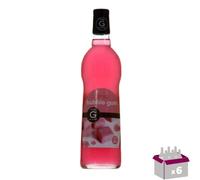 Lote de 6 jarabes de Gilbert - chicle de burbujas - 6x70cl