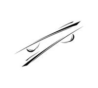 Lote de 6 Pegatinas for Coche, diseño Deportivo, de Vinilo, con Rayas, for Furgonetas y autocaravanas.(Black,L2H1)