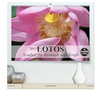 Lotos. Symbol für Reinheit und Kraft (hochwertiger Premium Wandkalender 2026 DIN A2 quer), Kunstdruck in Hochglanz: Symbol für das Universum und den Göttern geweiht