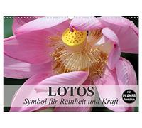 Lotos. Symbol für Reinheit und Kraft (Wandkalender 2026 DIN A3 quer), CALVENDO Monatskalender: Symbol für das Universum und den Göttern geweiht