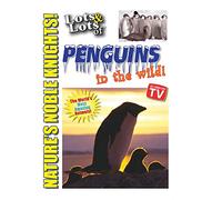 Lots and Lots of Penguin in the Wild [USA] [DVD]