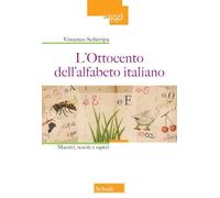 L'Ottocento nell'alfabeto italiano. Maestri, scuole e saperi. Nuova ediz. (Saggi)
