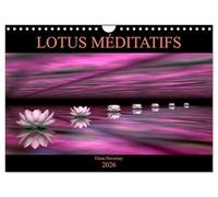 LOTUS MÉDITATIFS (Calendrier mural 2026 DIN A4 vertical), CALVENDO calendrier mensuel: La beauté des fleurs de lotus dans un environnement coloré et épuré