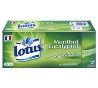 Demak'Up Lotus mouchoirs Menthol x15