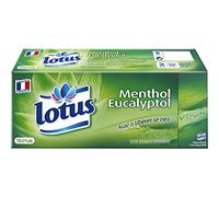 Lotus Menthol Pañuelos Eucaliptol 15 Casos (Lote 3)
