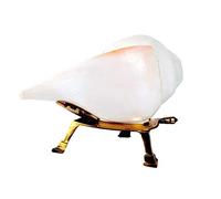 Loud and Big Vamavarti Caracolas Shell White Soplando Shankh con soporte de latón