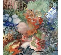 Louien – None Of My Words – Vinilo 12" (Importación USA) – Membran