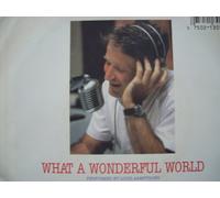 Louis Armstrong - What A Wonderful World