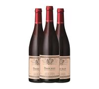 Louis Jadot Gamay Brouilly 75 cl Vino tinto (Caja de 3 Botellas de 75 cl)