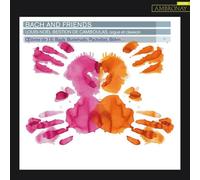 Louis-Noël Bestion de Camboulas - Bach and Friends