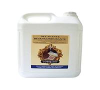 Louis XIII - Decapante deshidratante (5 L)