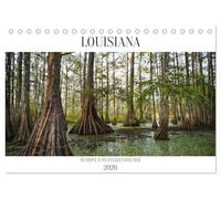 Louisiana - Sümpfe und Plantagenhäuser (Tischkalender 2026 DIN A5 quer), CALVENDO Monatskalender: Bayous, moosverhangene Eichen, Plantagen
