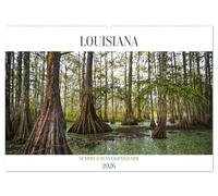 Louisiana - Sümpfe und Plantagenhäuser (Wandkalender 2026 DIN A2 quer), CALVENDO Monatskalender: Bayous, moosverhangene Eichen, Plantagen