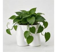 Lourich Jarrones corporales para decoración de macetas, macetas de Resina Divertidas, macetas de Cuerpo Masculino, Maceta Divertida de Regalo, Maceta única para suculentas y Cactus (Blanco)