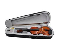 Louttary Wooden Violin: Solid Wood Popularization Violin, Beginner Practice Violín