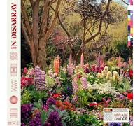 Love a.M. - In Disarray