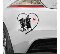 Love corazón Amor Perros Border Collie Pegatina para Coche, Autocaravana, Ordenador portátil, Pared. Color y tamaño a Elegir.