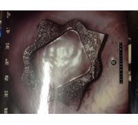 Love Drives On (x2 Incl. Long Drive Mix) +1 [Vinyl Single]