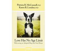 Love Has No Age Limit: Welcoming an Adopted Dog Into Your Home
