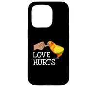 Love Hurts Sun Conure For Sun Conure Parrot Birds Lovers Carcasa para iPhone 15 Pro