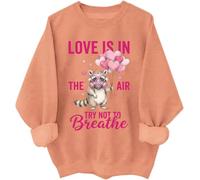 Love Is In The Air Try Not Breathe - Sudadera y sudadera con capucha divertida para el día de San Valentín con diseño de mapache, Hami naranja, L