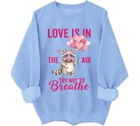 Love Is In The Air Try Not Breathe - Sudadera y sudadera con capucha divertida para el día de San Valentín con diseño de mapache, azul celeste, L