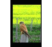 Love Letters to Life: Poetry