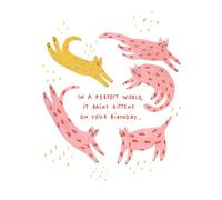 Love Muchly Greeting Cards: Belated Birthday - In a perfect world, it rains kittens (Pack of 6)