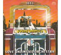 Love Unlimited Orchestra - Young America / Freeway Flyer [Vinilo 7 pulgadas - 45 rpm]