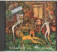 Love - Wasted in America