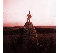 Love What Survives/Remixes Part 1 [Vinilo]