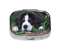 Lovely Bernese Mountain Dog, pastillero con 2 compartimentos, organizador portátil